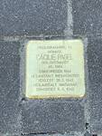 Stolperstein vor dem Haus in der Freiligrathstraße 11, dem ehemaligen Wohnsitz von Cäcilia Pagel,